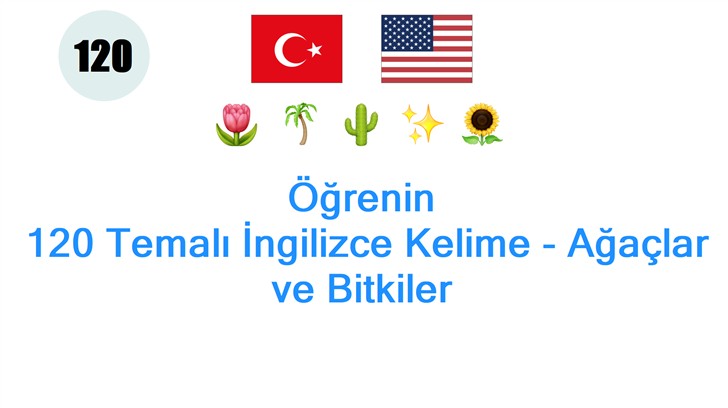 Öğrenin: 120 Temalı İngilizce Kelime - Ağaçlar ve Bitkiler